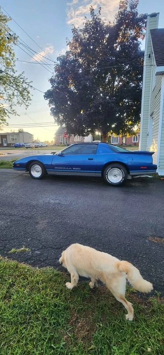 1989 Pontiac Firebird 3rd Gen - Image 2 of 10
