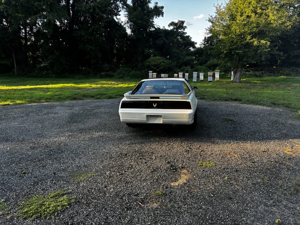 1989 Pontiac Firebird Trans Am 3rd Gen - Image 31 of 31