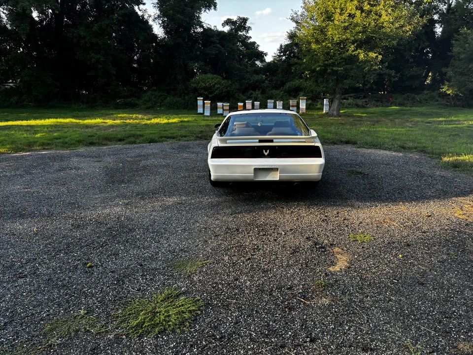 1989 Pontiac Firebird Trans Am 3rd Gen - Image 30 of 31