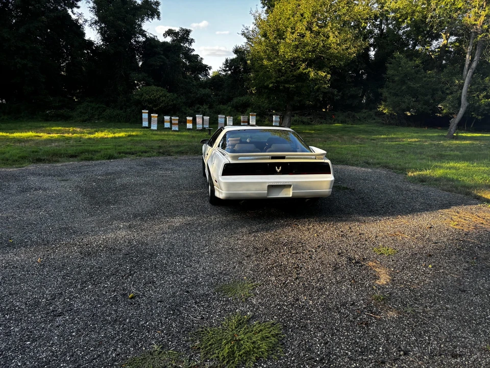 1989 Pontiac Firebird Trans Am 3rd Gen - Image 29 of 31