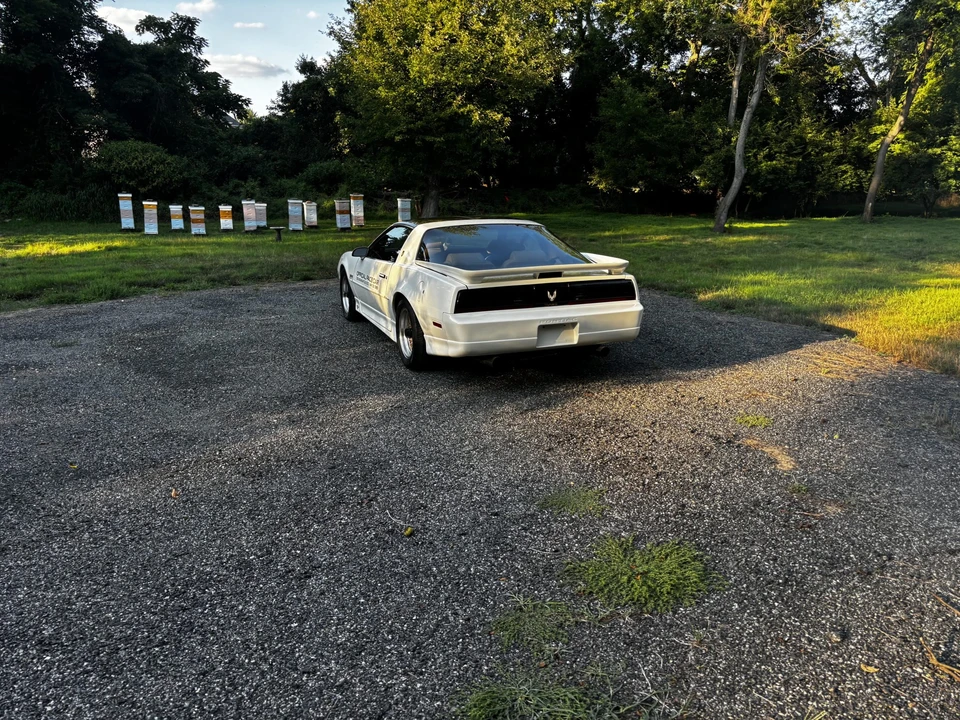 1989 Pontiac Firebird Trans Am 3rd Gen - Image 28 of 31