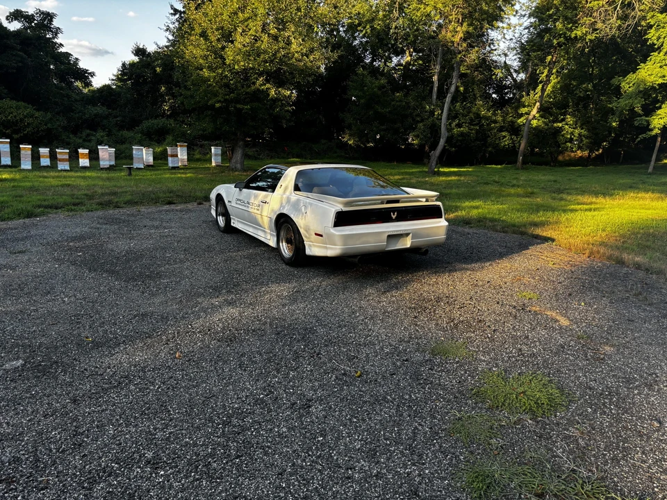 1989 Pontiac Firebird Trans Am 3rd Gen - Image 27 of 31