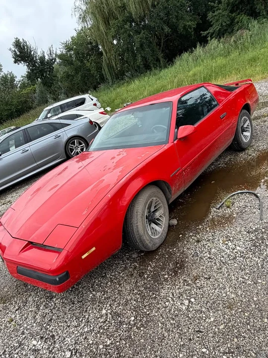 1989 Pontiac Firebird Trans Am 3rd Gen - Image 7 of 12