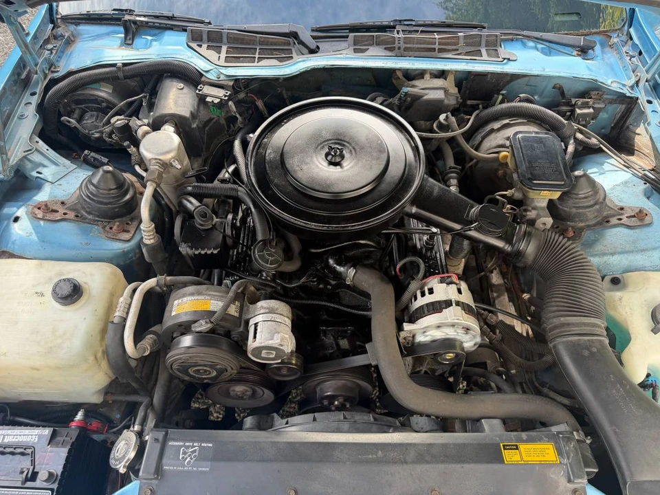 1989 Pontiac Firebird 3rd Gen - Image 17 of 17