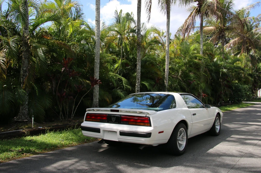 1989 Pontiac Firebird 3rd Gen - Image 14 of 21