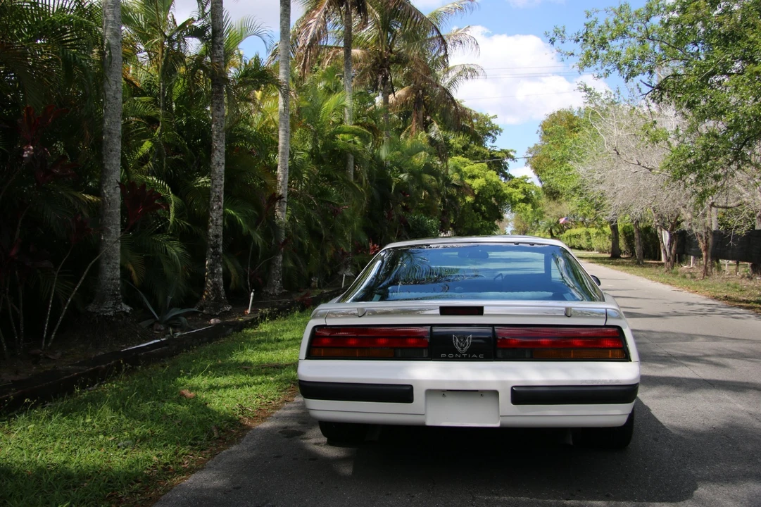 1989 Pontiac Firebird 3rd Gen - Image 15 of 21