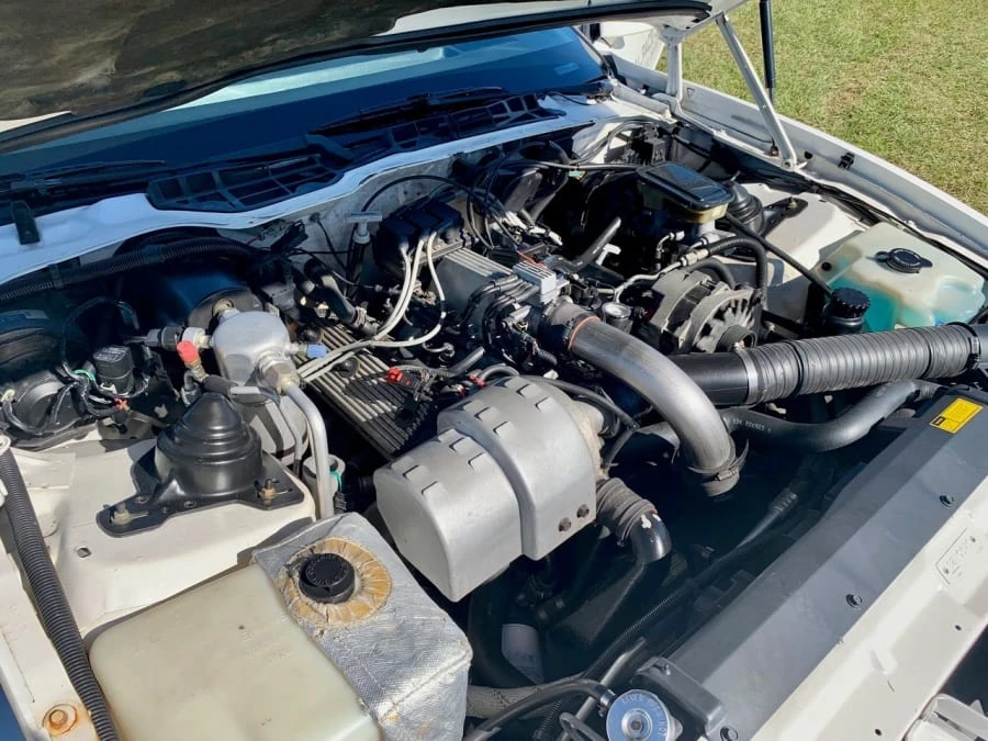 1989 Pontiac Firebird Trans Am 3rd Gen - Image 8 of 12