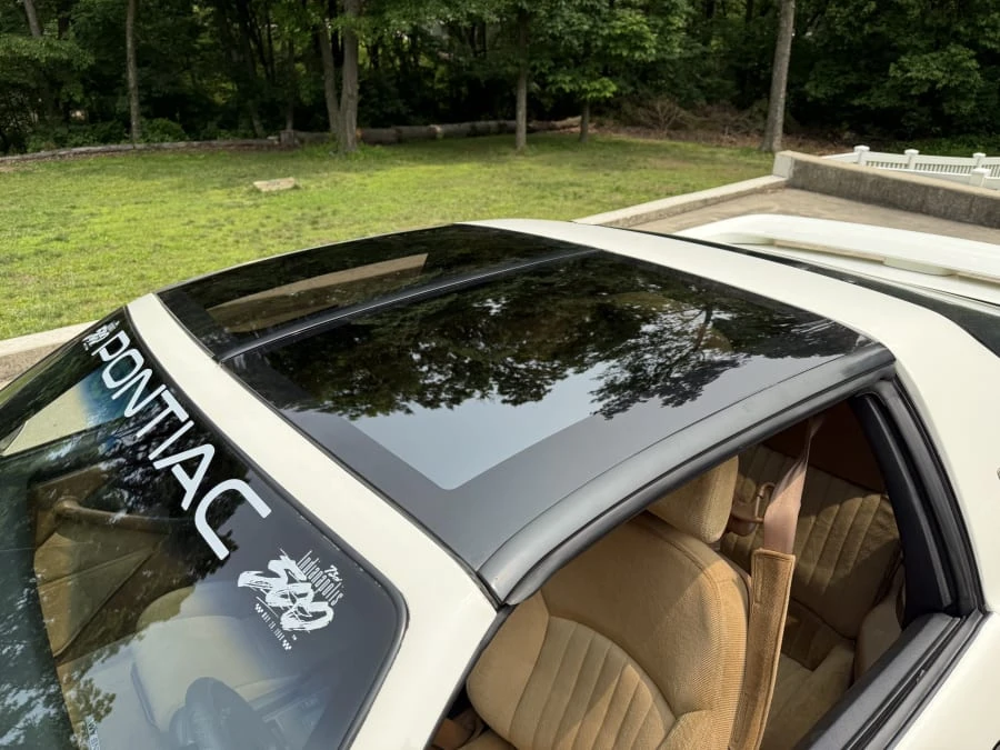 1989 Pontiac Firebird Trans Am 3rd Gen - Image 9 of 20