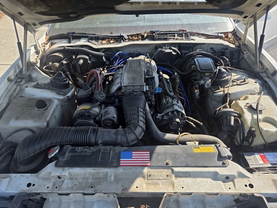 1989 Pontiac Firebird 3rd Gen - Image 3 of 15