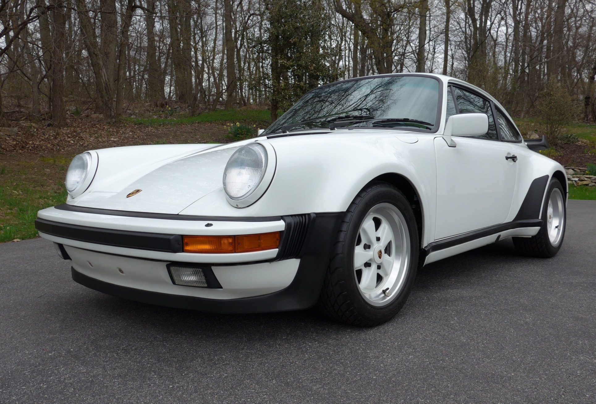 1989 Porsche 911 Turbo 5-Speed