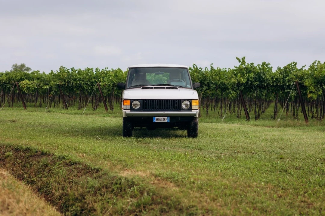 1989 Land Rover Range Rover Classic - Image 2 of 30