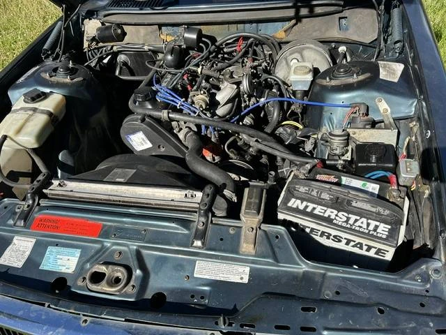1989 Volvo 245 - Image 13 of 13