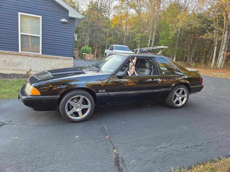 1989 Ford Mustang 3rd Gen - Image 4 of 7