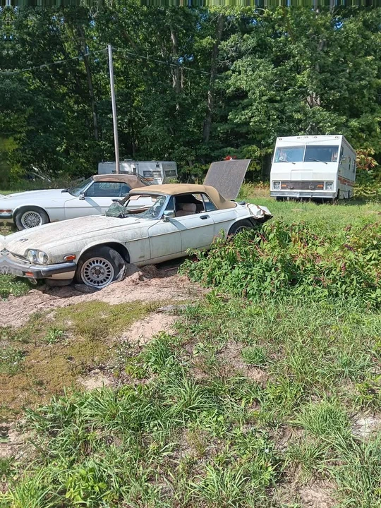 1989 Jaguar XJS - Image 4 of 5
