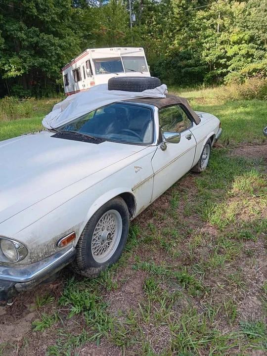 1989 Jaguar XJS - Image 2 of 5
