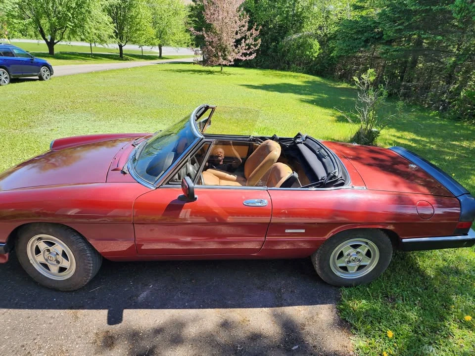 1990 Alfa Romeo Series 4 - Image 10 of 18