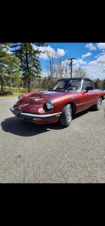 1990 Alfa Romeo Series 4 - Image 13 of 18