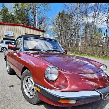 1990 Alfa Romeo Spider Veloce