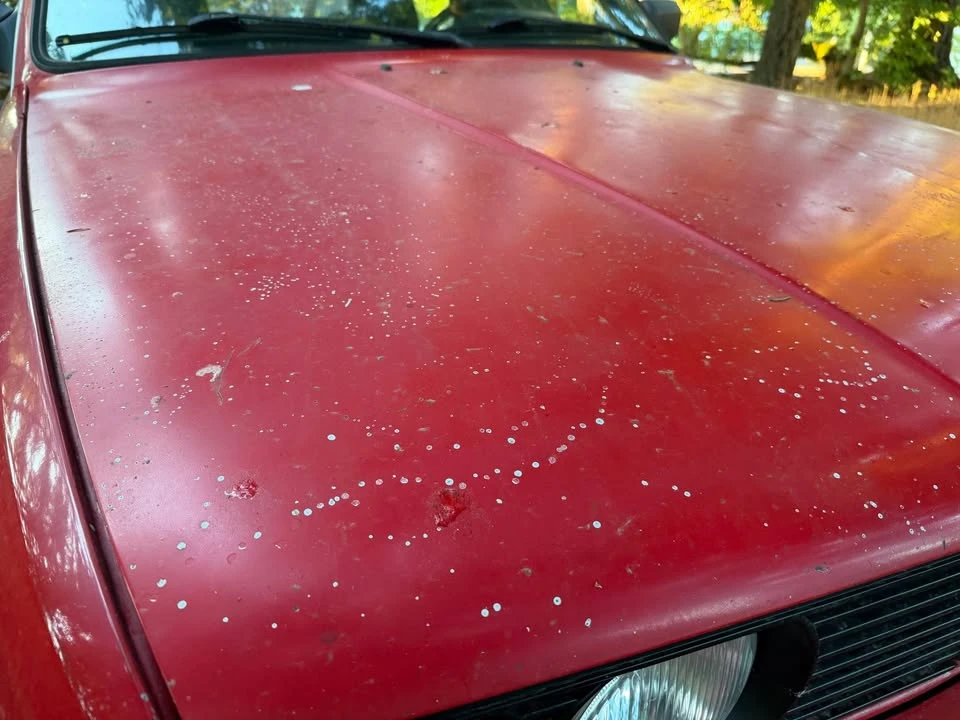 1990 BMW E30 3 Series - Image 3 of 20