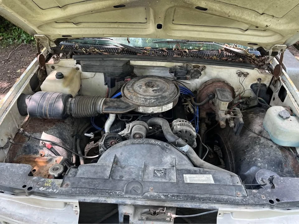 1990 Chevrolet C/K 4th Gen - Image 5 of 7