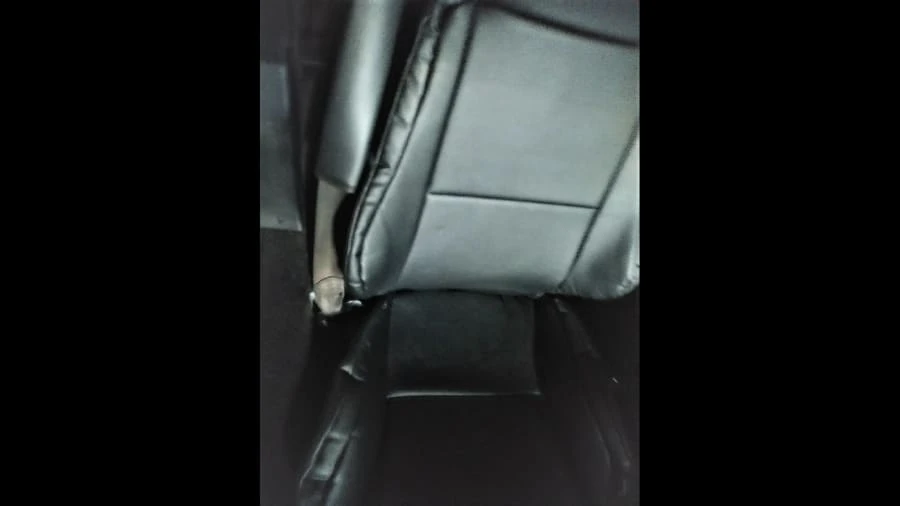 1990 Chevrolet Corvette C4 - Image 31 of 31