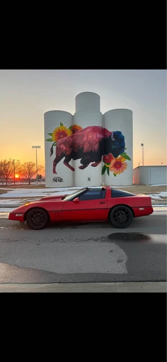 1990 Chevrolet Corvette C4 - Image 2 of 12
