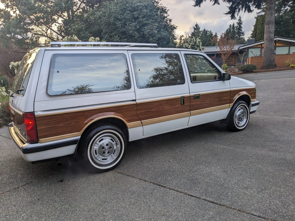 1990 Dodge Caravan - Image 19 of 31