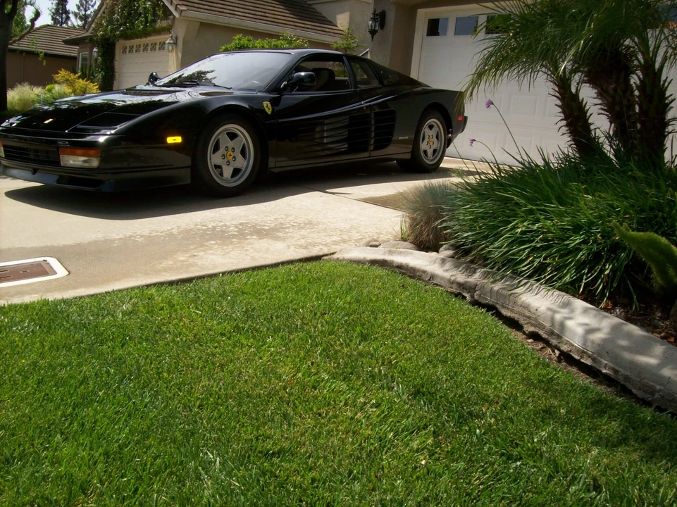 1990 Ferrari Testarossa - Image 11 of 31
