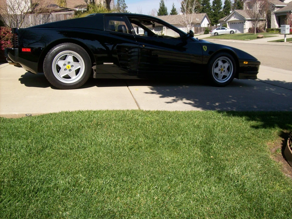 1990 Ferrari Testarossa - Image 17 of 31