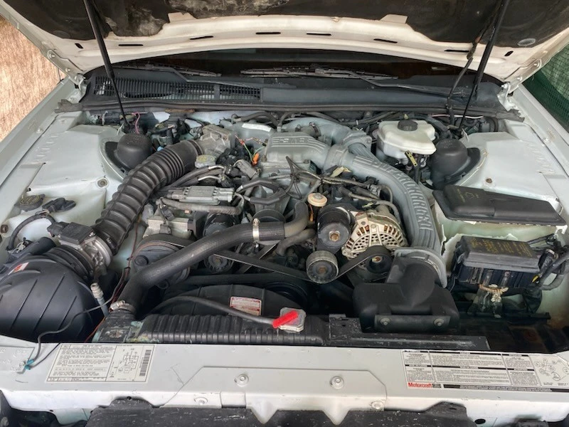 1990 Ford Thunderbird 10th Gen - Image 11 of 13