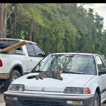 1990 Honda Civic DX Hatchback 2D