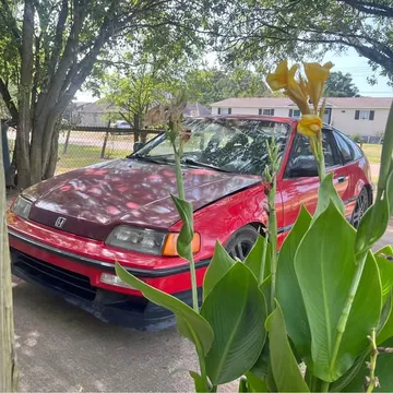 1990 Honda CRX Hatchback