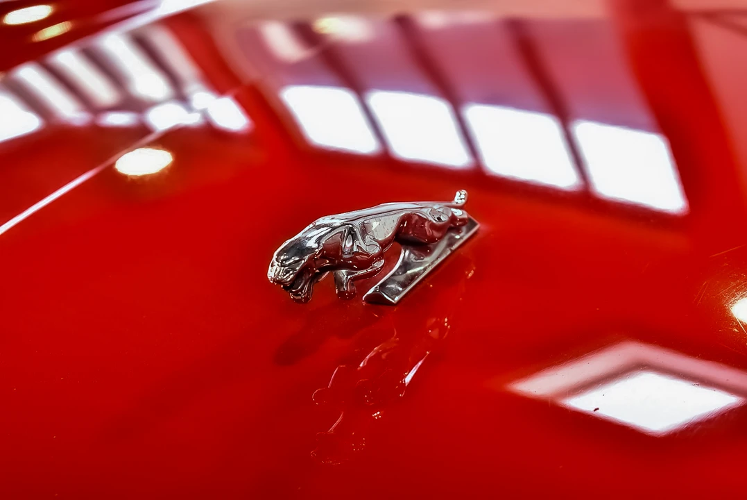 1990 Jaguar XJS Convertible - Image 30 of 31
