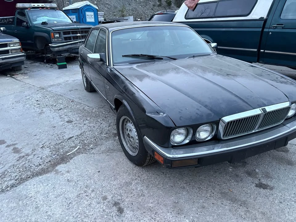 1990 Jaguar - Image 2 of 7