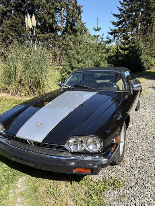 1990 Jaguar XJS Convertible - Image 4 of 31