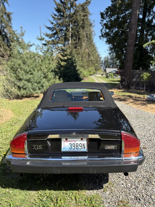 1990 Jaguar XJS Convertible - Image 8 of 31