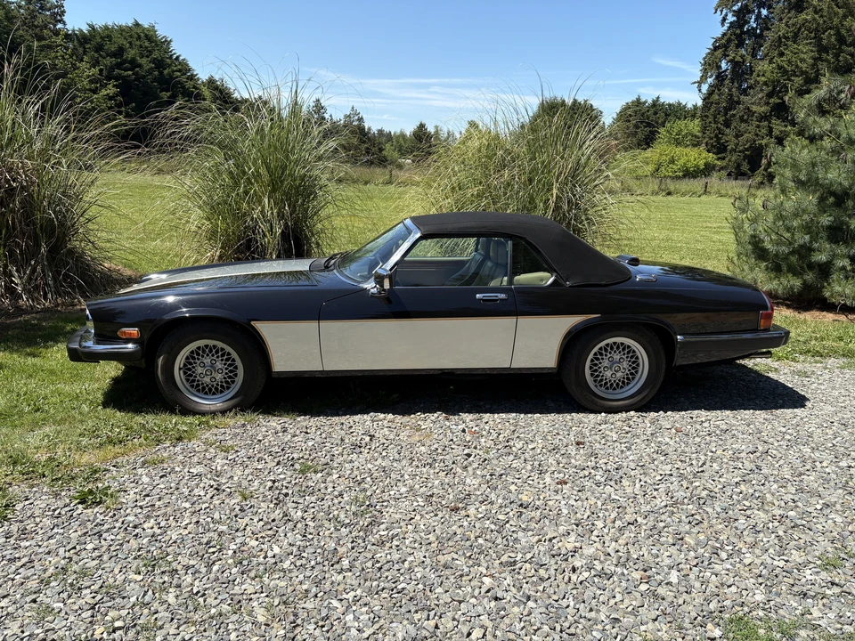 1990 Jaguar XJS Convertible - Image 6 of 31