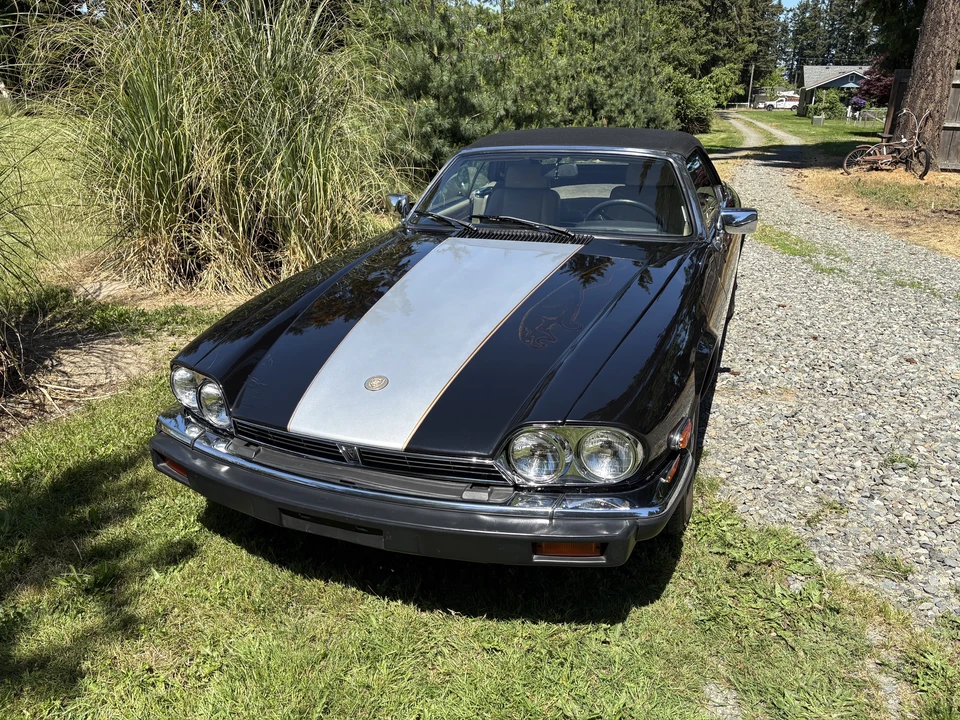 1990 Jaguar XJS Convertible - Image 3 of 31