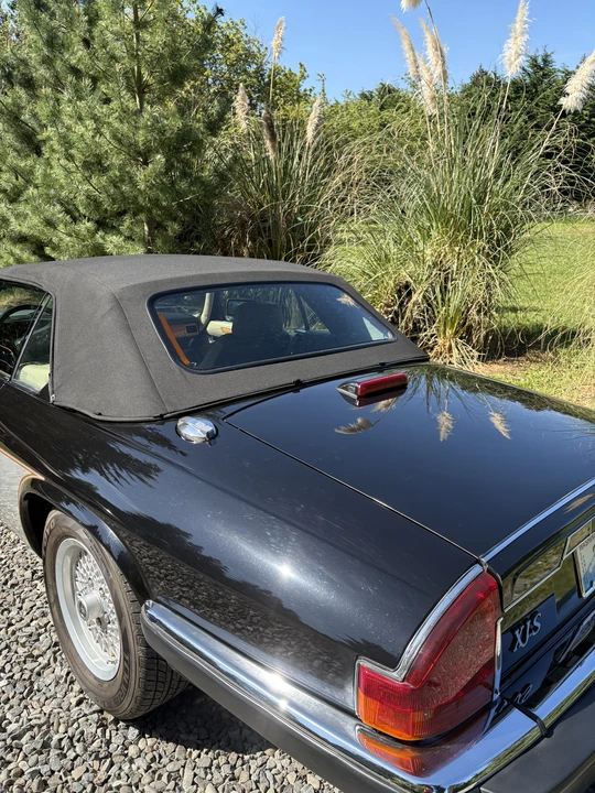 1990 Jaguar XJS Convertible - Image 24 of 31