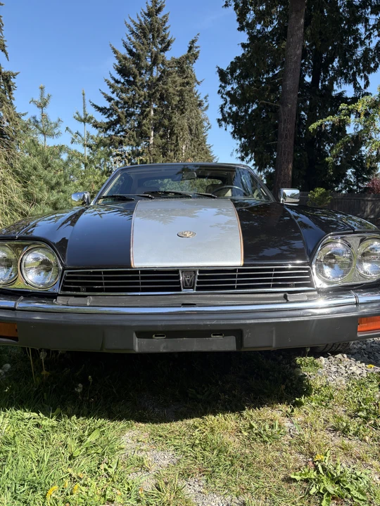 1990 Jaguar XJS Convertible - Image 19 of 31