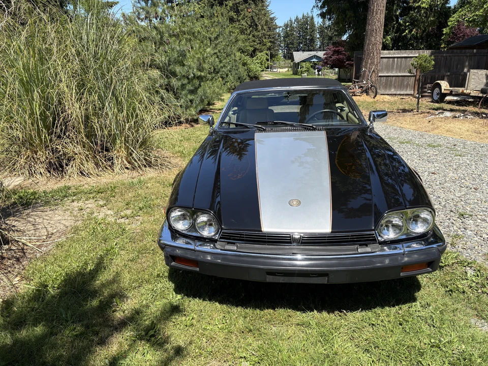 1990 Jaguar XJS Convertible - Image 2 of 31