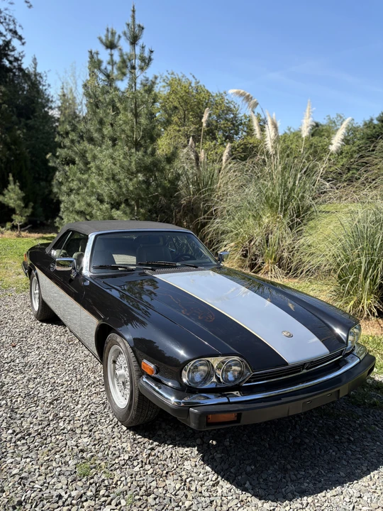 1990 Jaguar XJS Convertible - Image 16 of 31