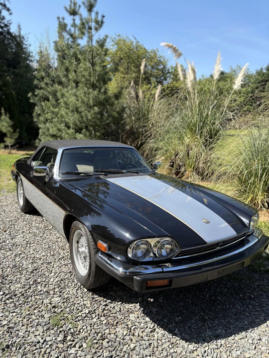 1990 Jaguar XJS Convertible - Image 17 of 31