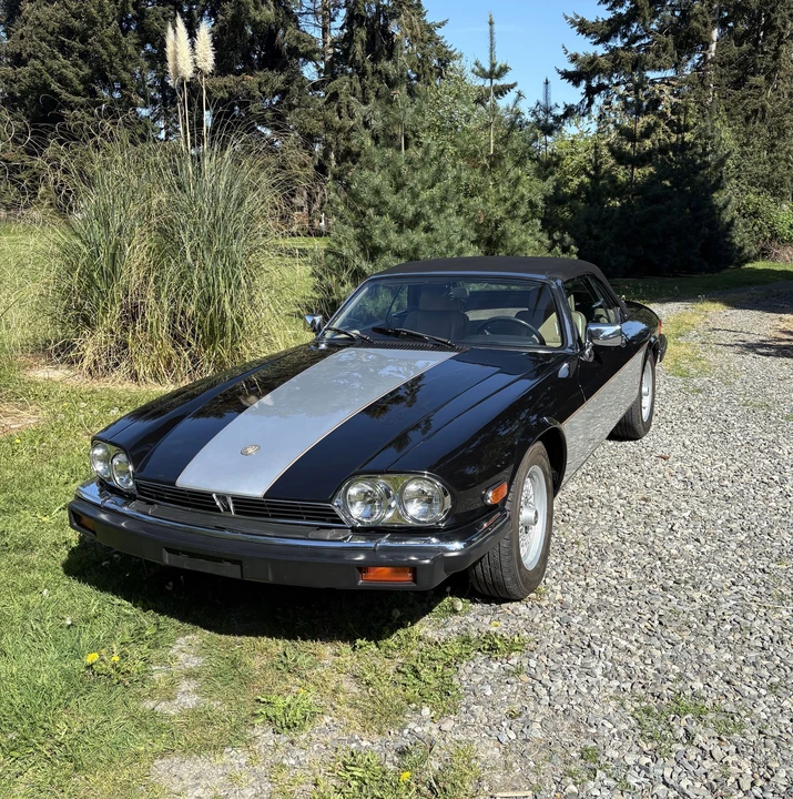 1990 Jaguar XJS Convertible - Image 5 of 31