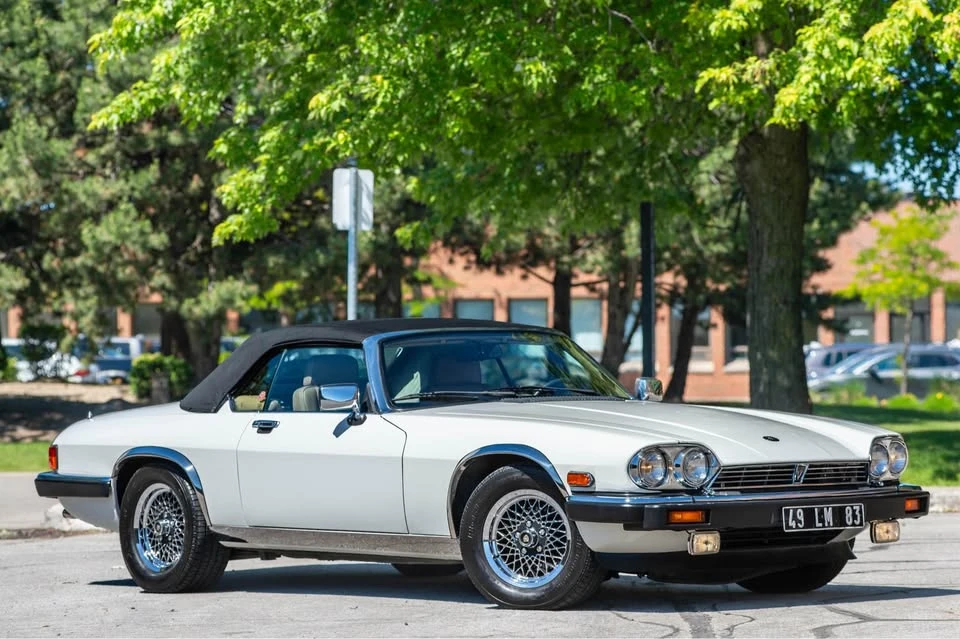 1990 Jaguar XJ-S TWR - Image 6 of 20