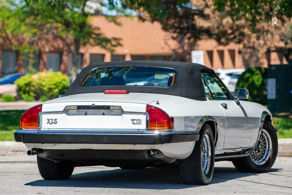 1990 Jaguar XJ-S TWR - Image 8 of 20