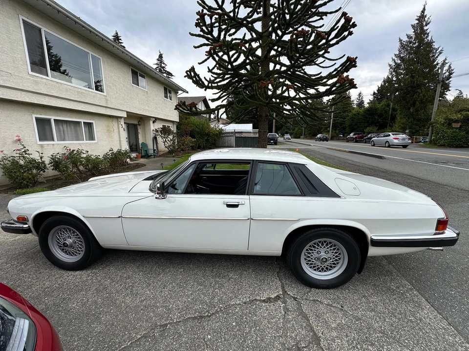 1990 Jaguar XJS Pre-Facelift V12 - Image 6 of 31
