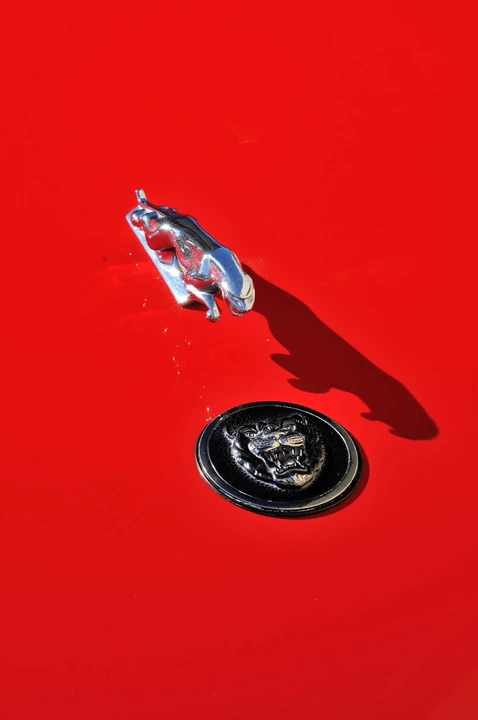 1990 Jaguar XJS Convertible - Image 9 of 11