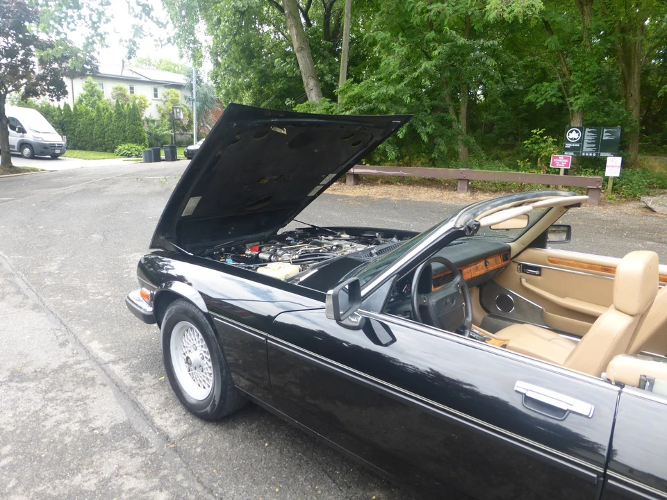 1990 Jaguar XJS - Image 22 of 31