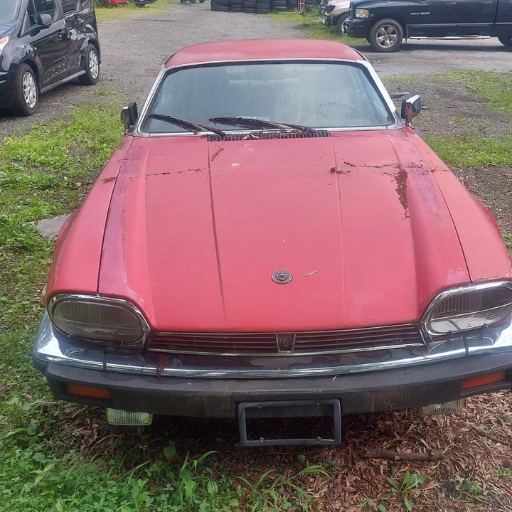 1990 Jaguar XJS - Image 2 of 11